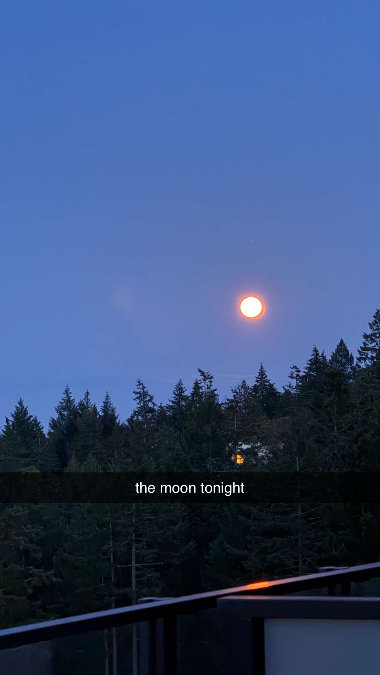 meelahrobbins snapchat image archive image