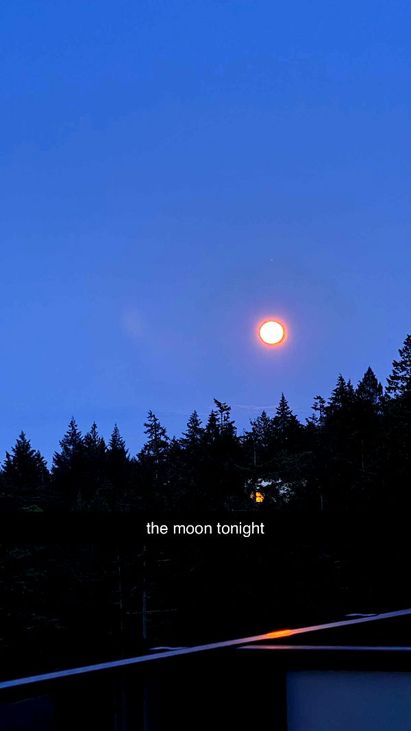 meelahrobbins image ~ Altpins