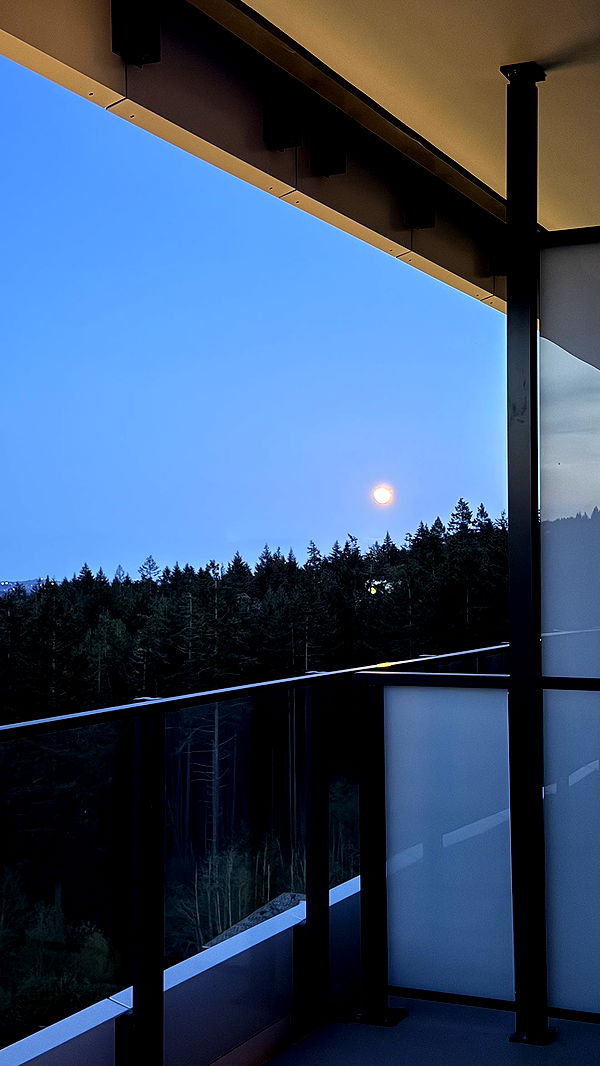 meelahrobbins image ~ Altpins