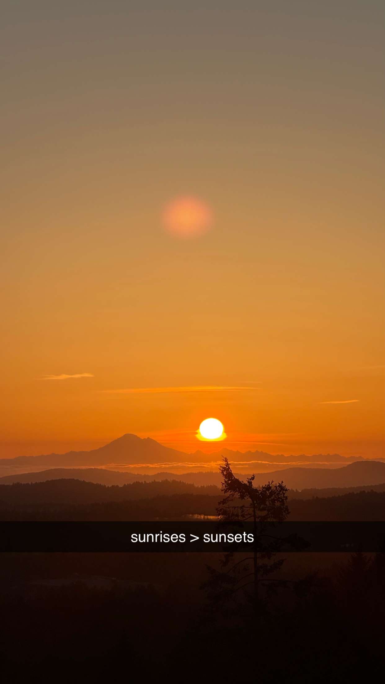 meelahrobbins snapchat image archive image