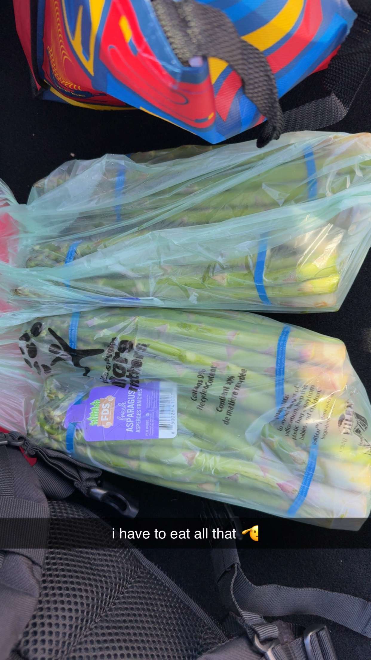 meelahrobbins snapchat image archive image