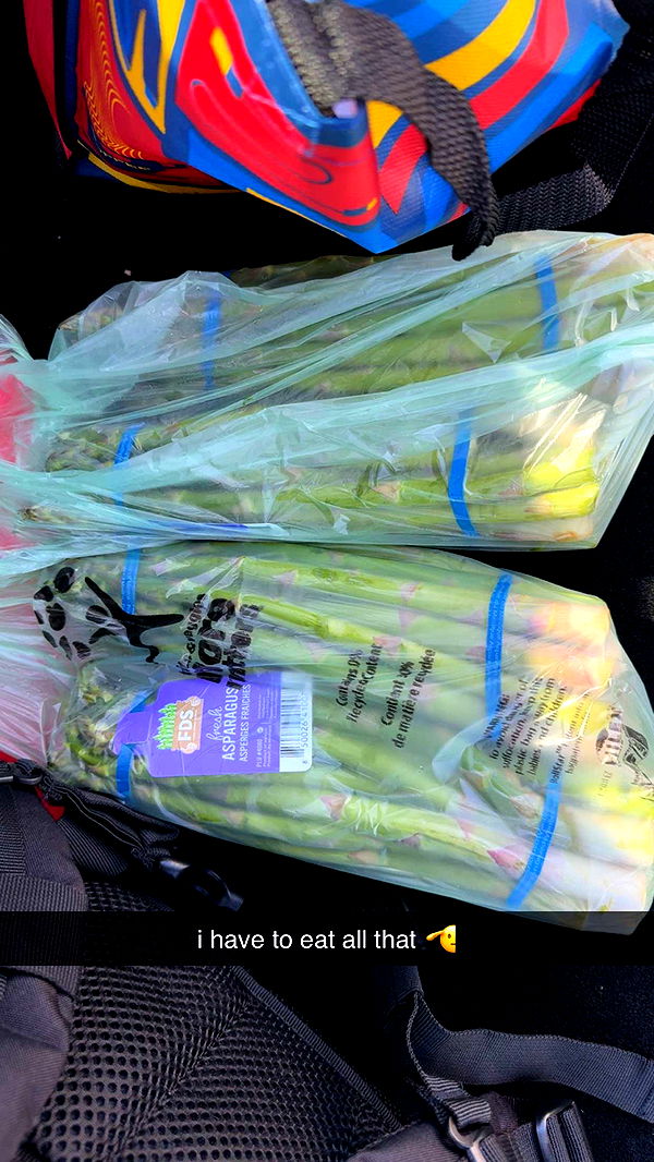 meelahrobbins image ~ Altpins