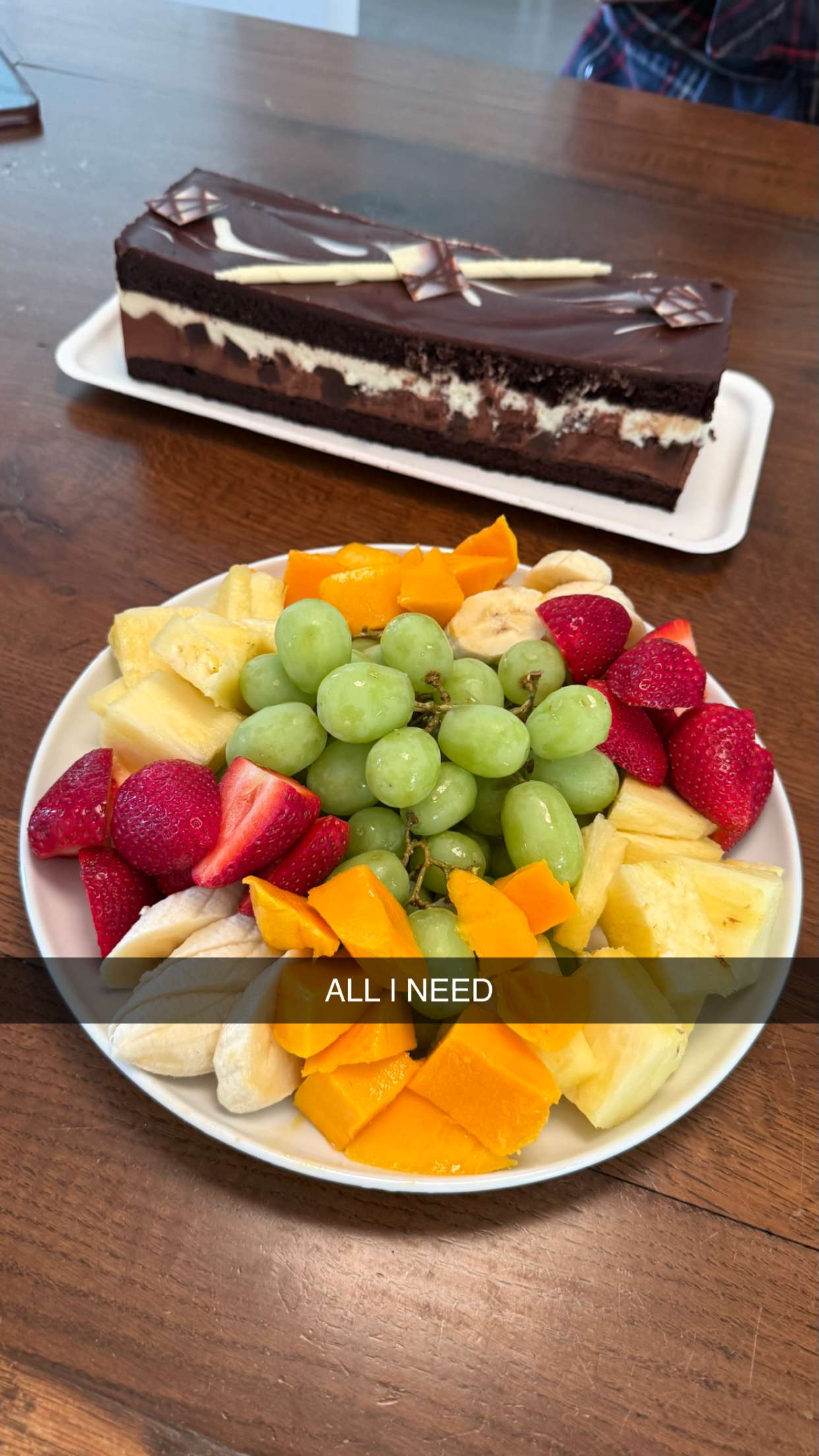 meelahrobbins snapchat image archive image