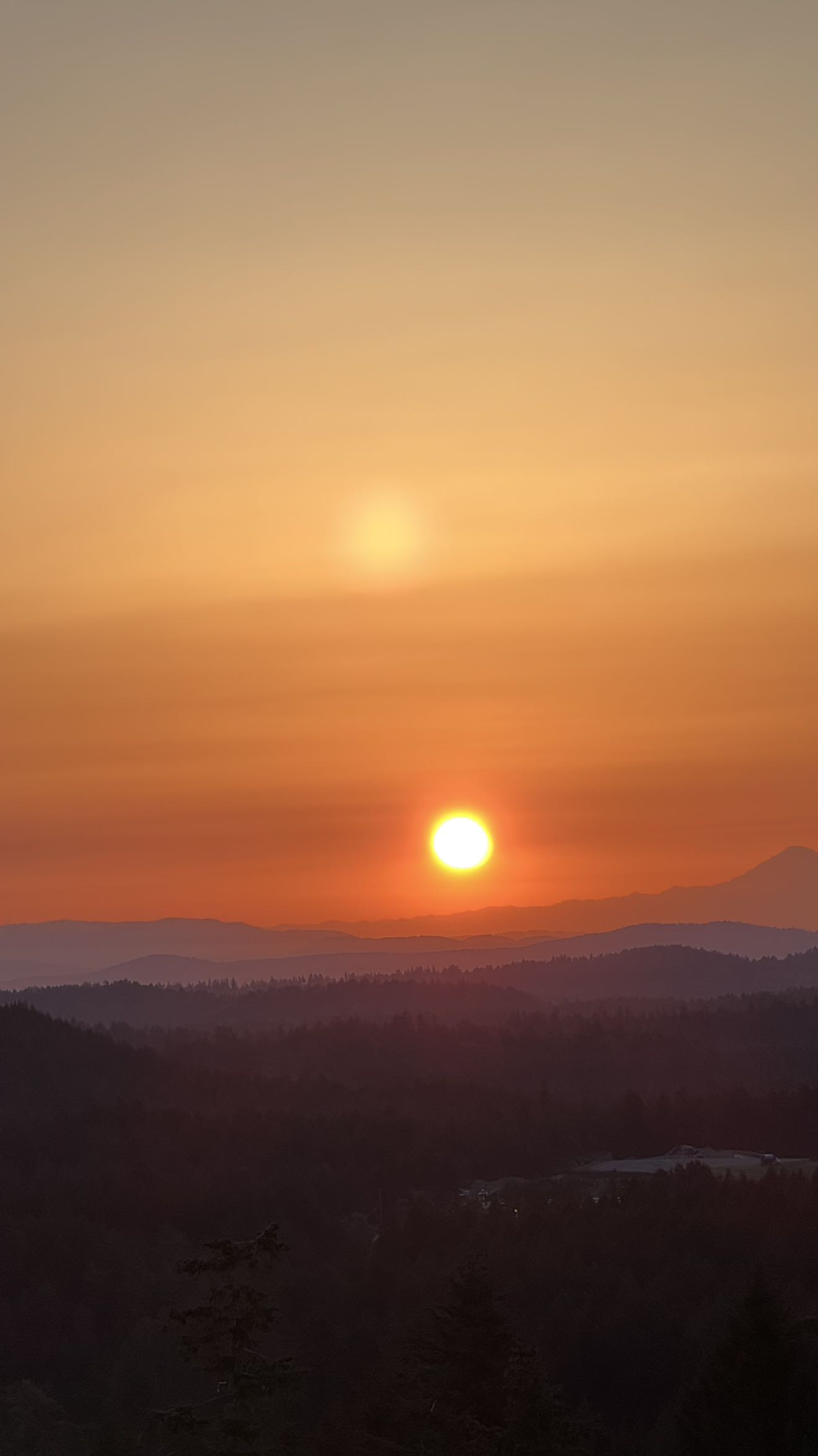 meelahrobbins snapchat image archive image