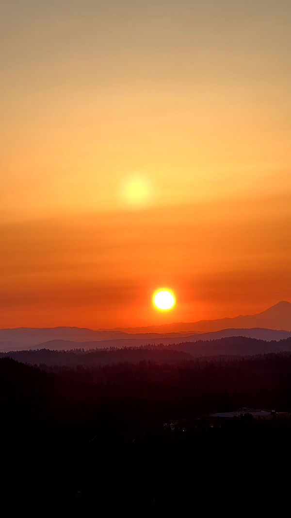 meelahrobbins image ~ Altpins