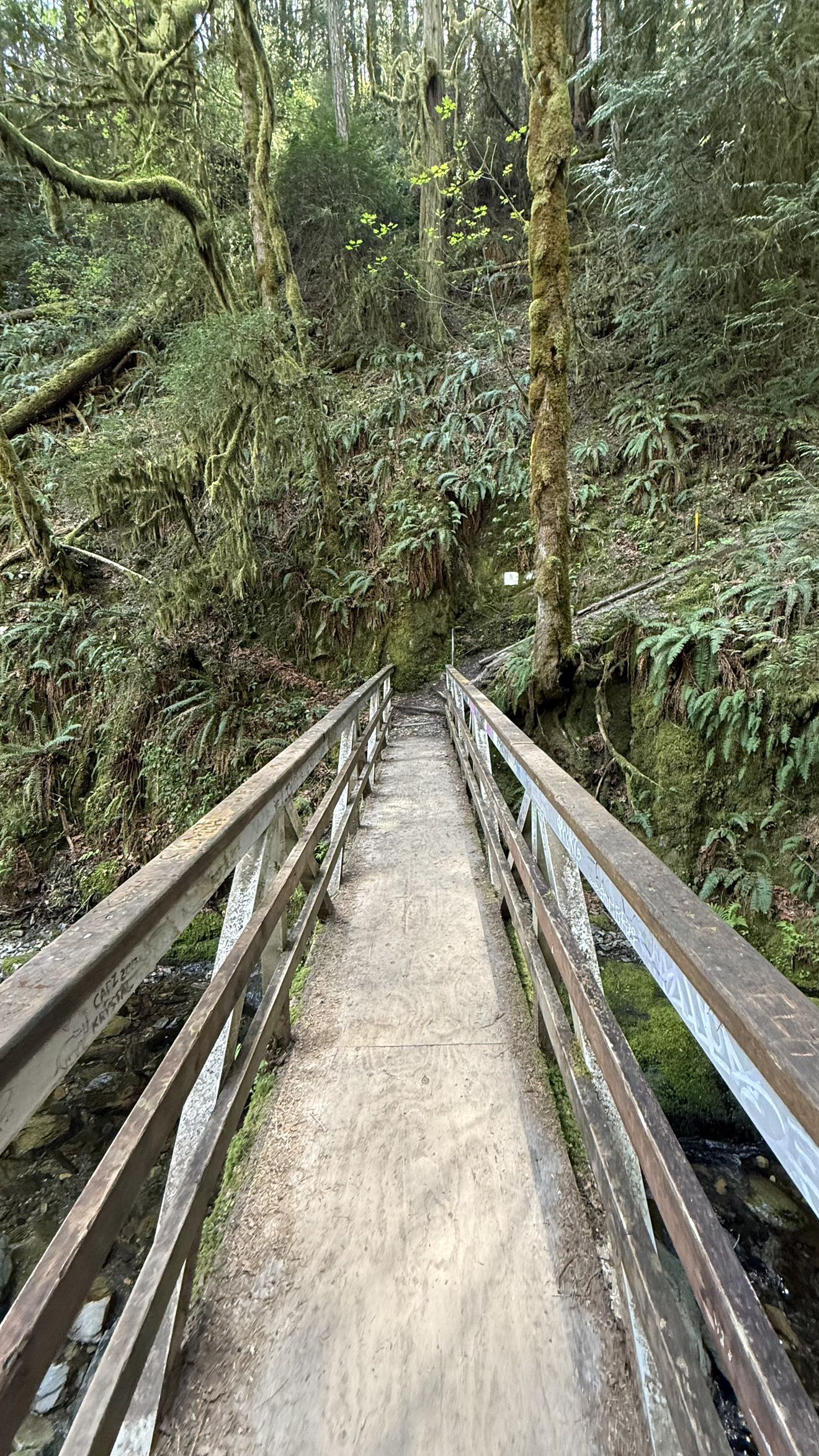 meelahrobbins snapchat image archive image