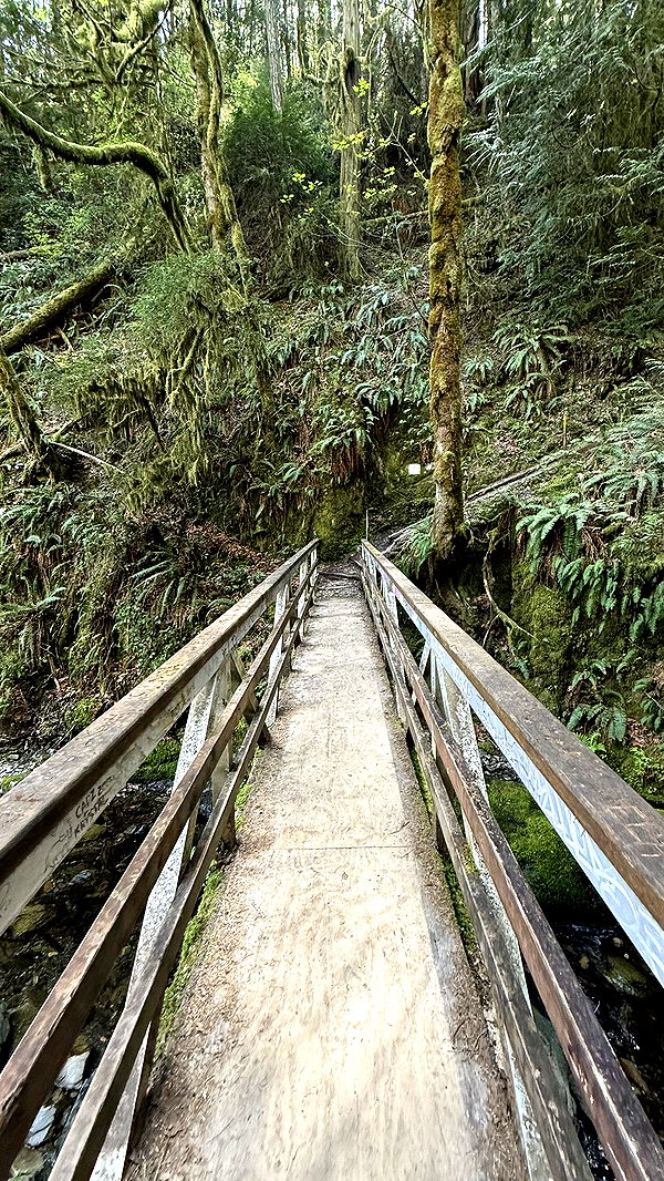 meelahrobbins image ~ Altpins