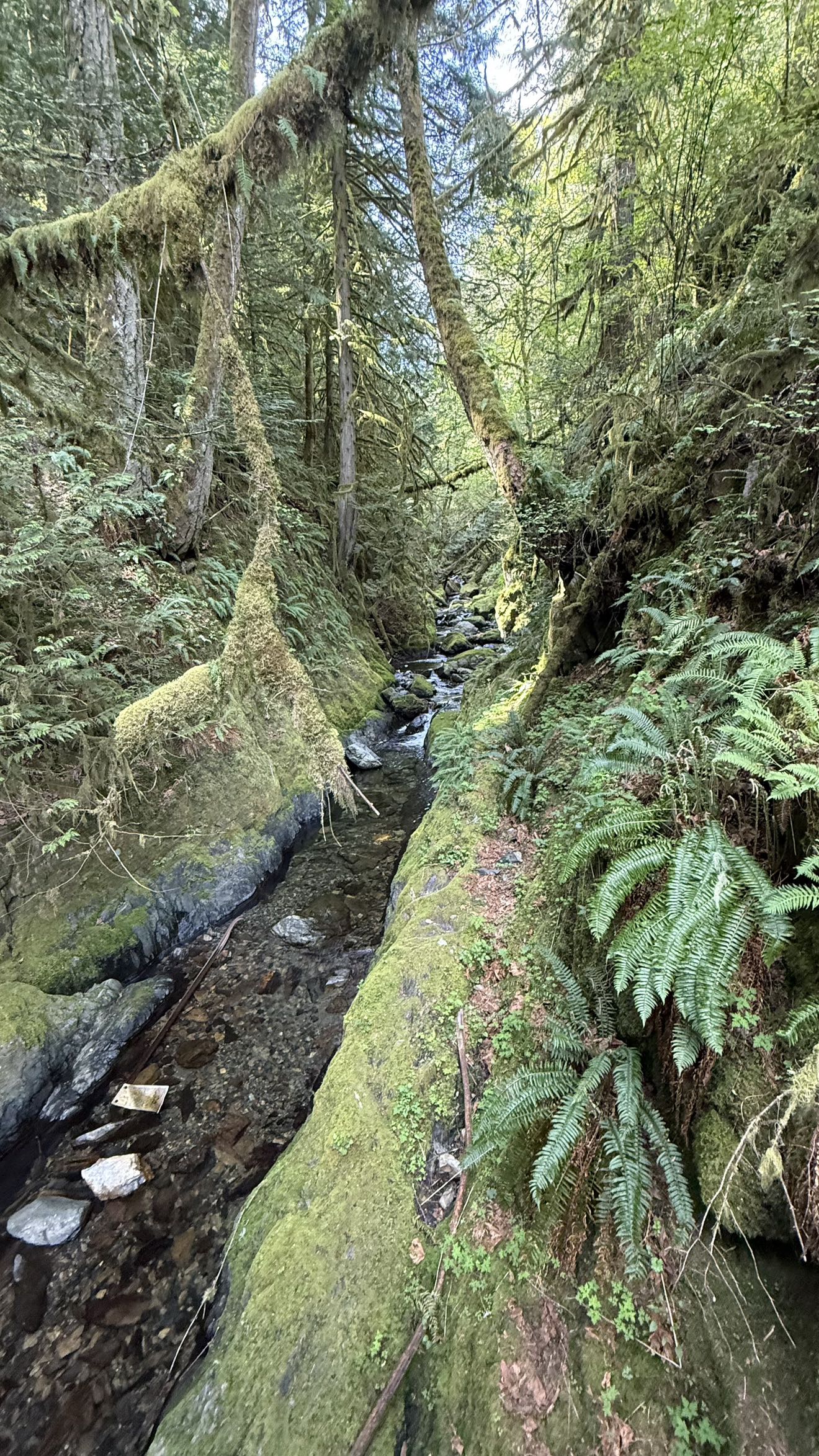 meelahrobbins snapchat image archive image