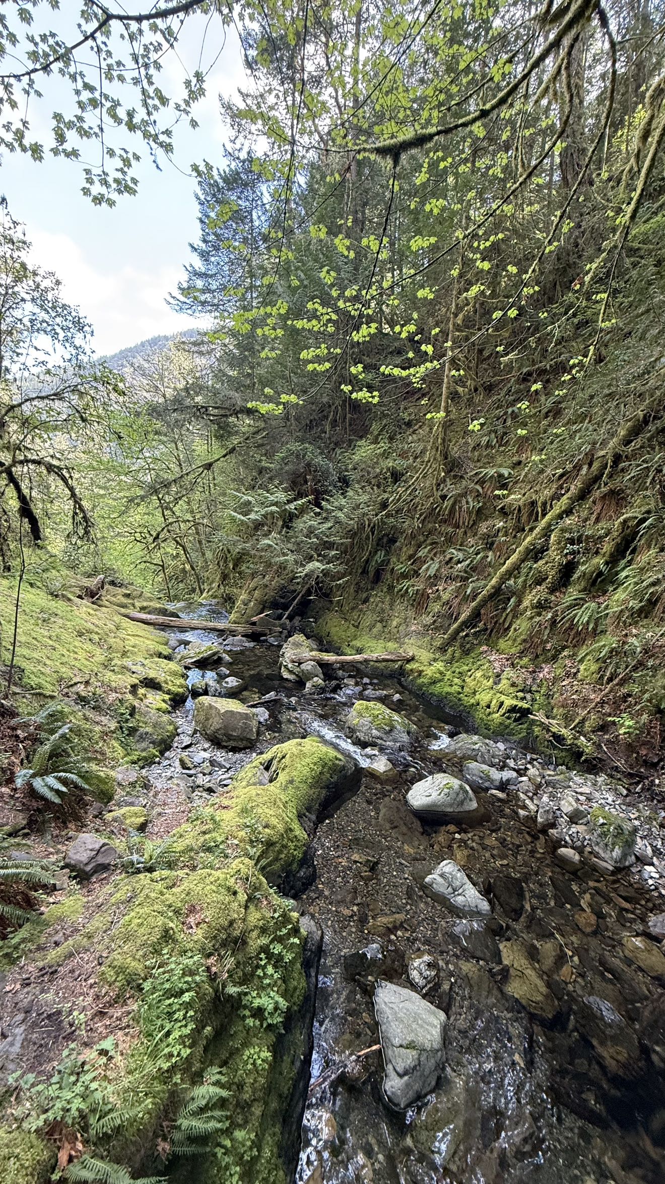 meelahrobbins snapchat image archive image