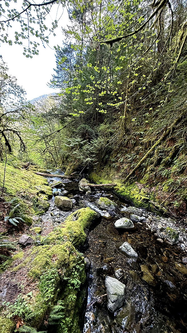 meelahrobbins image ~ Altpins