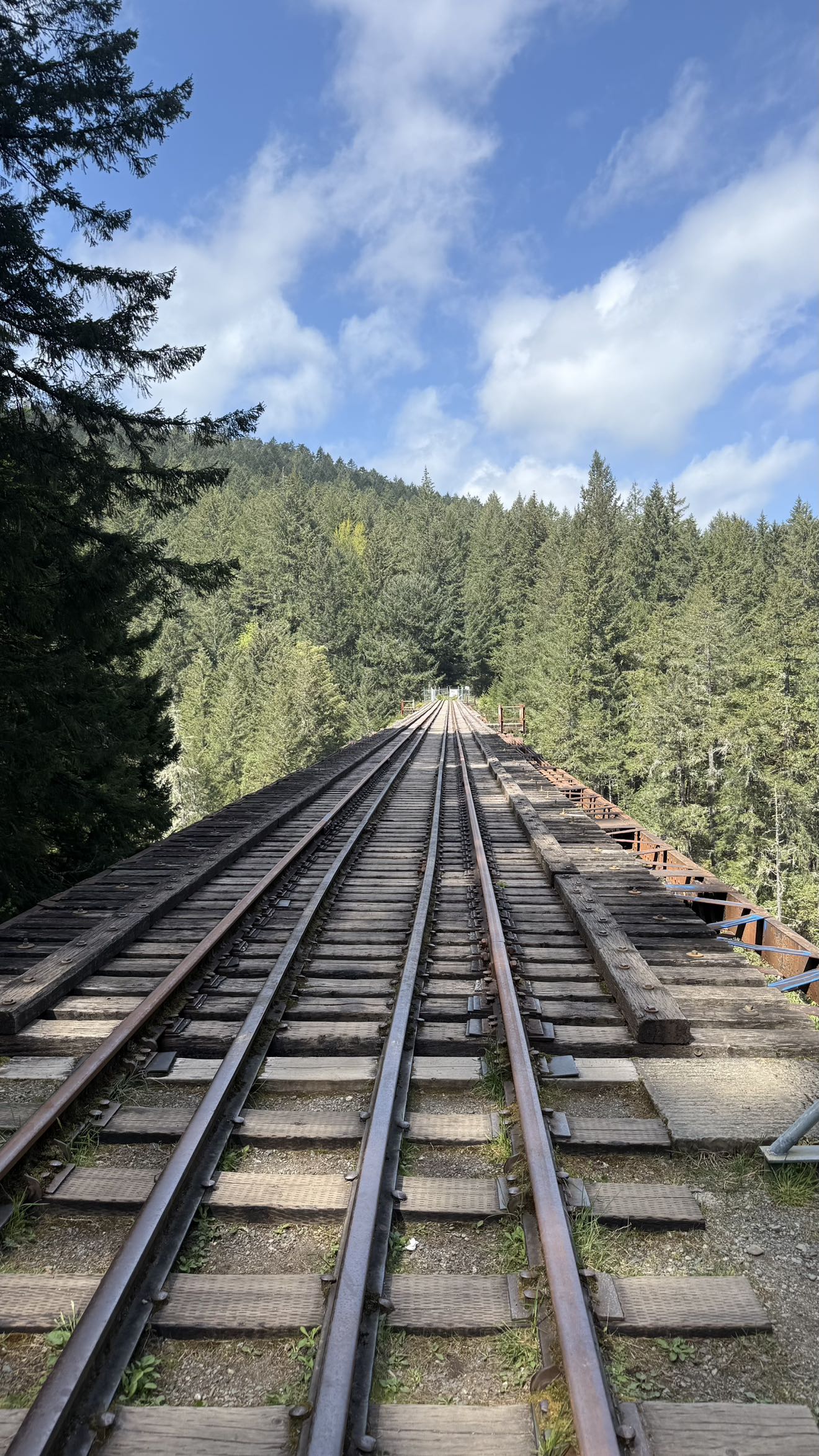 meelahrobbins snapchat image archive image