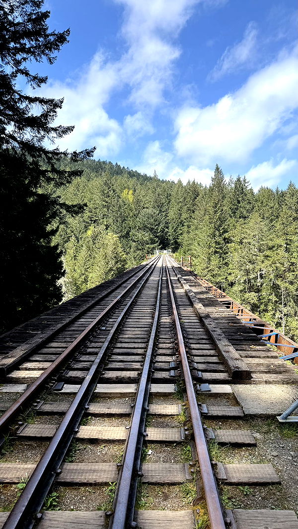 meelahrobbins image ~ Altpins