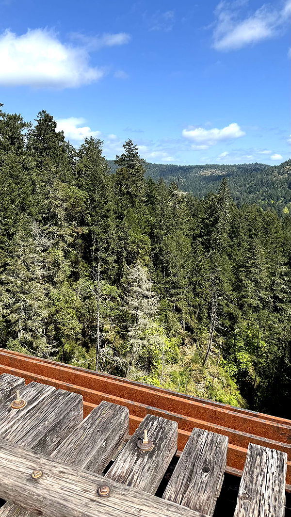 meelahrobbins image ~ Altpins