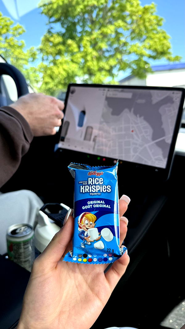 meelahrobbins image ~ Altpins