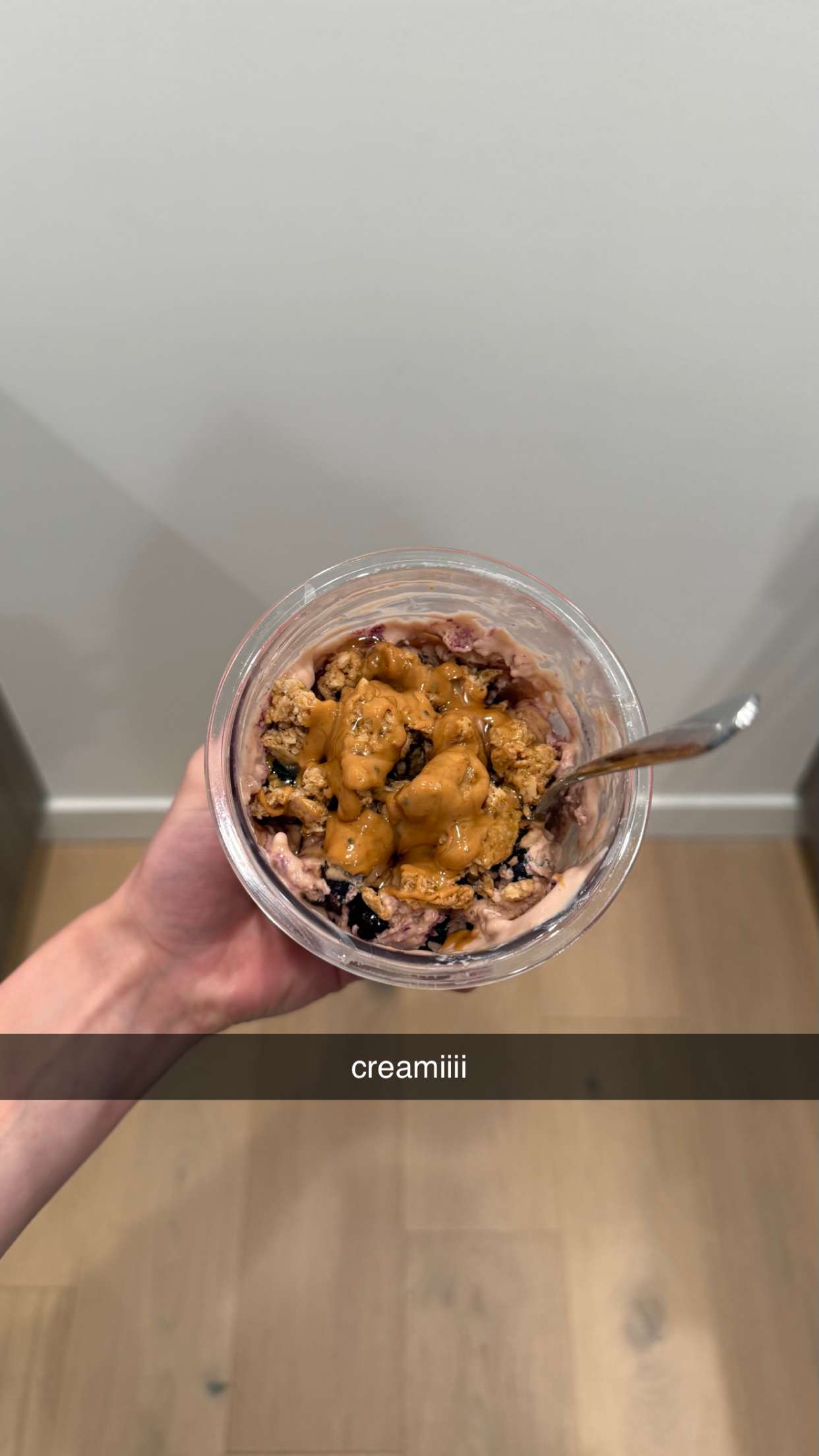 meelahrobbins snapchat image archive image