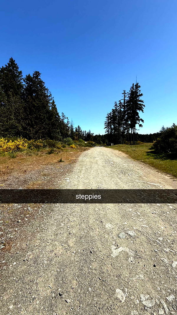 meelahrobbins image ~ Altpins