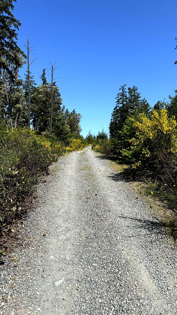 meelahrobbins image ~ Altpins