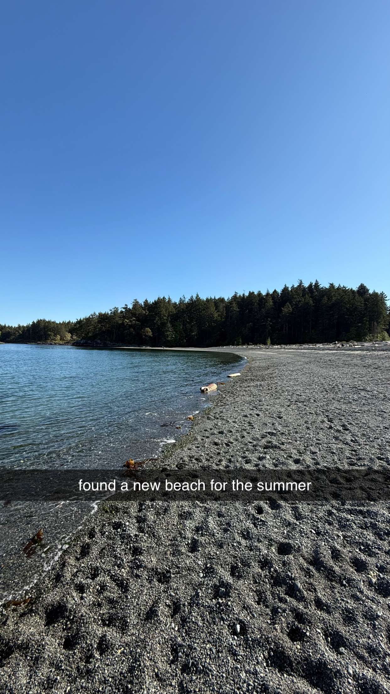 meelahrobbins snapchat image archive image