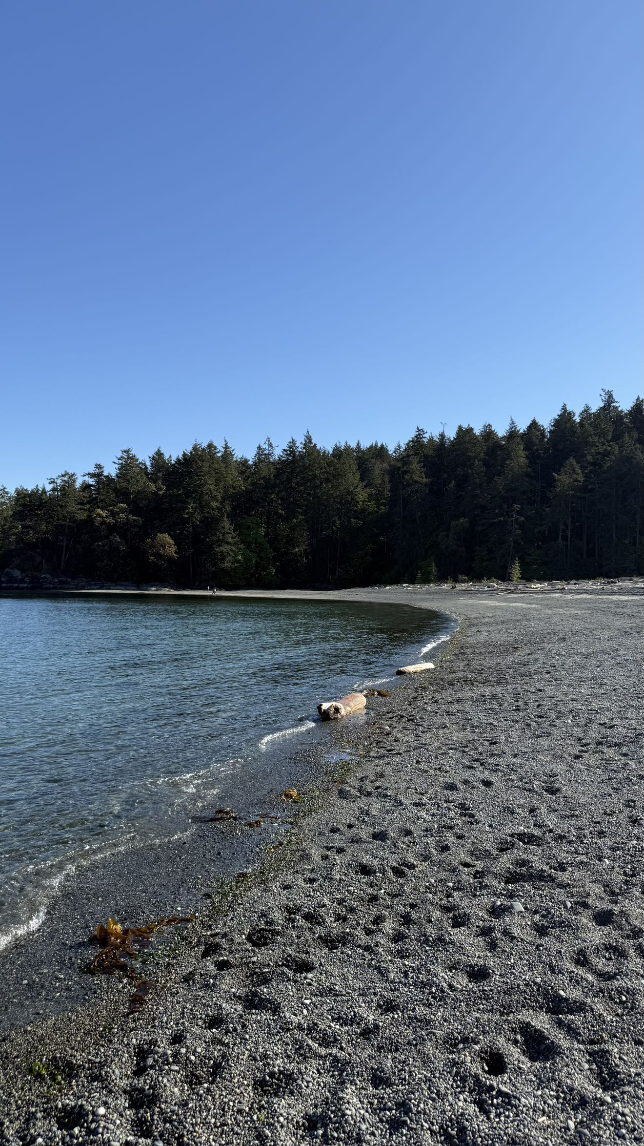 meelahrobbins snapchat image archive image