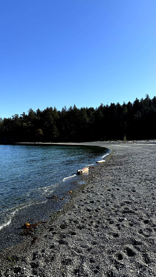 meelahrobbins image ~ Altpins