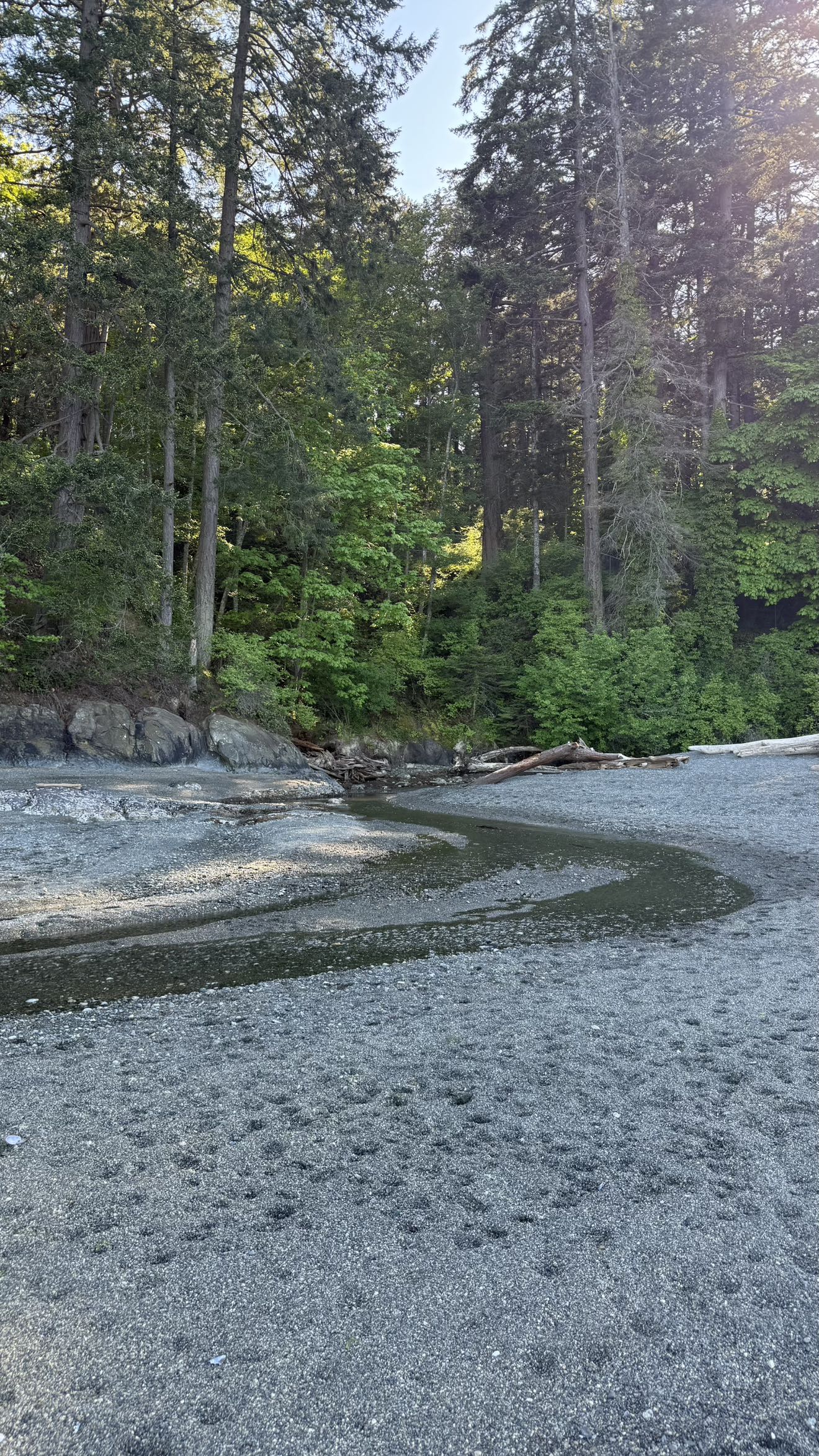 meelahrobbins snapchat image archive image