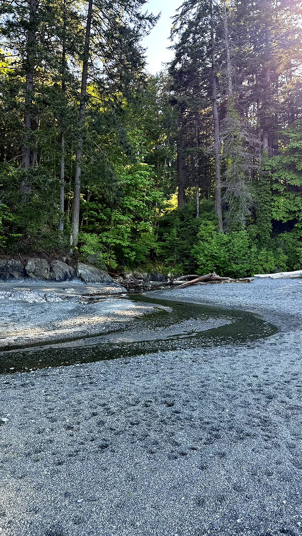 meelahrobbins image ~ Altpins