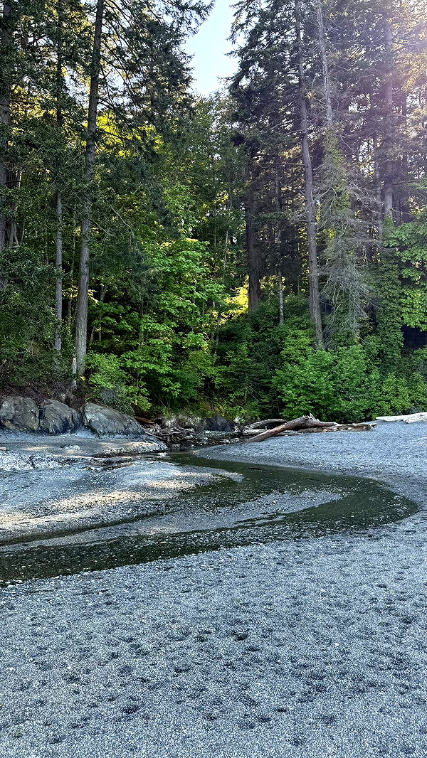 meelahrobbins image ~ Altpins