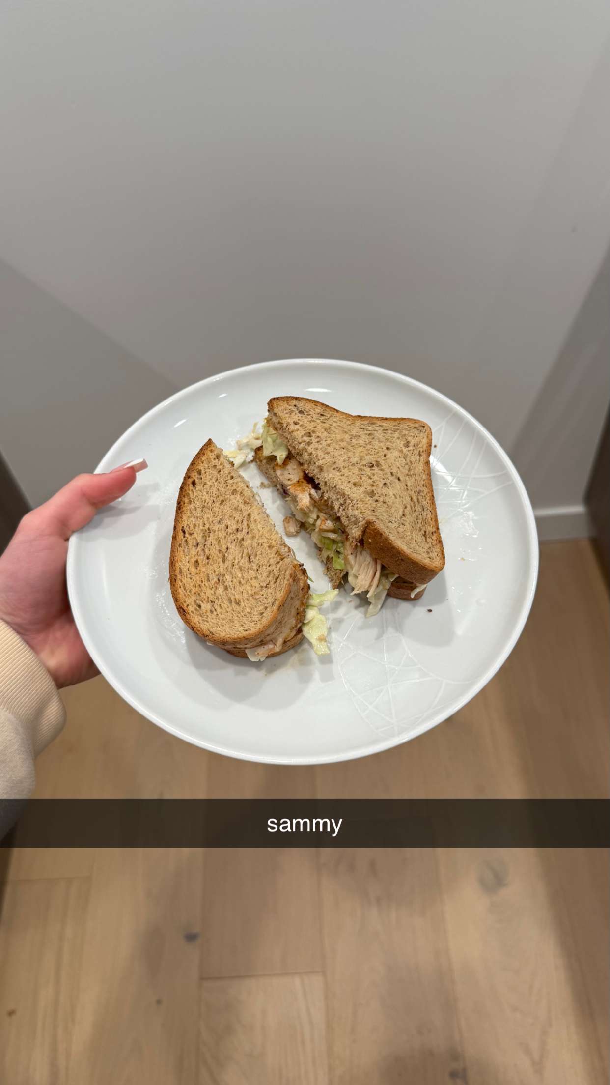 meelahrobbins snapchat image archive image