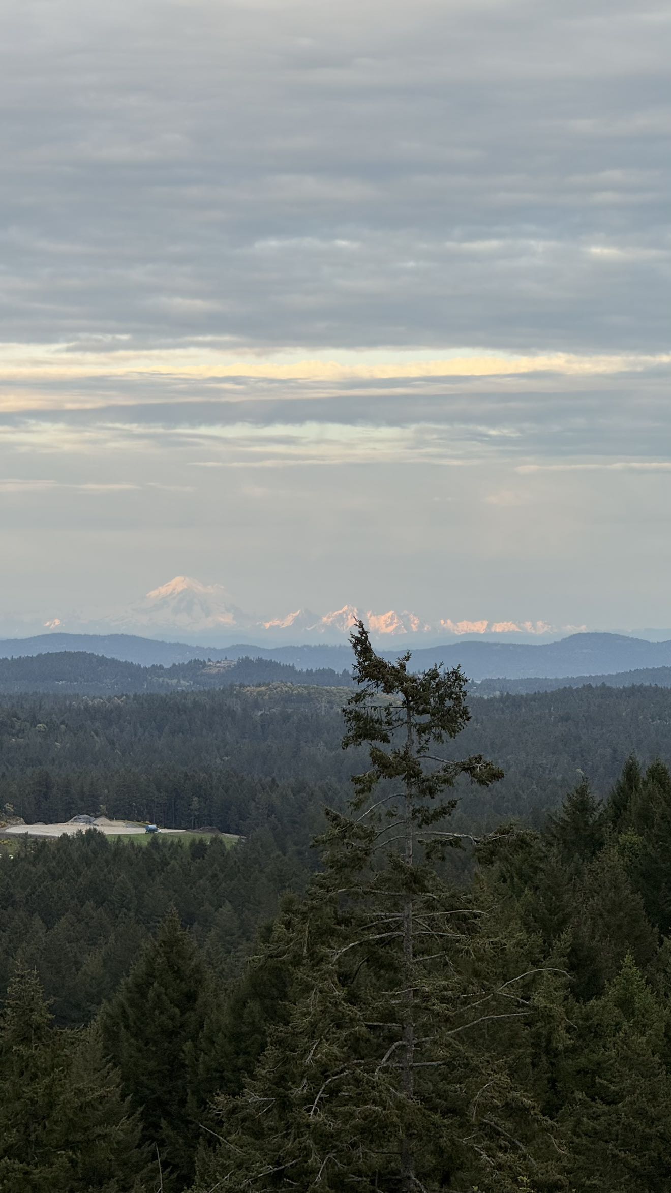 meelahrobbins snapchat image archive image