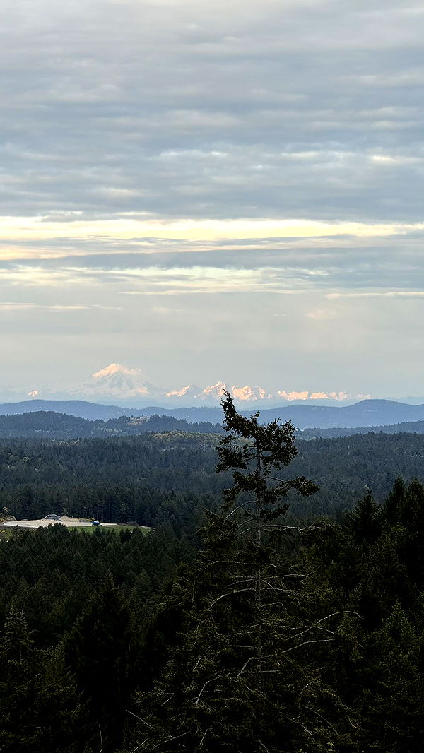 meelahrobbins image ~ Altpins