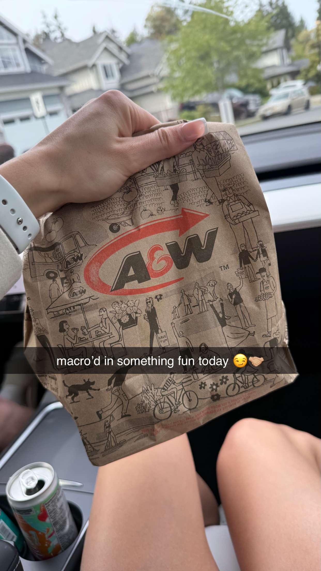 meelahrobbins snapchat image archive image