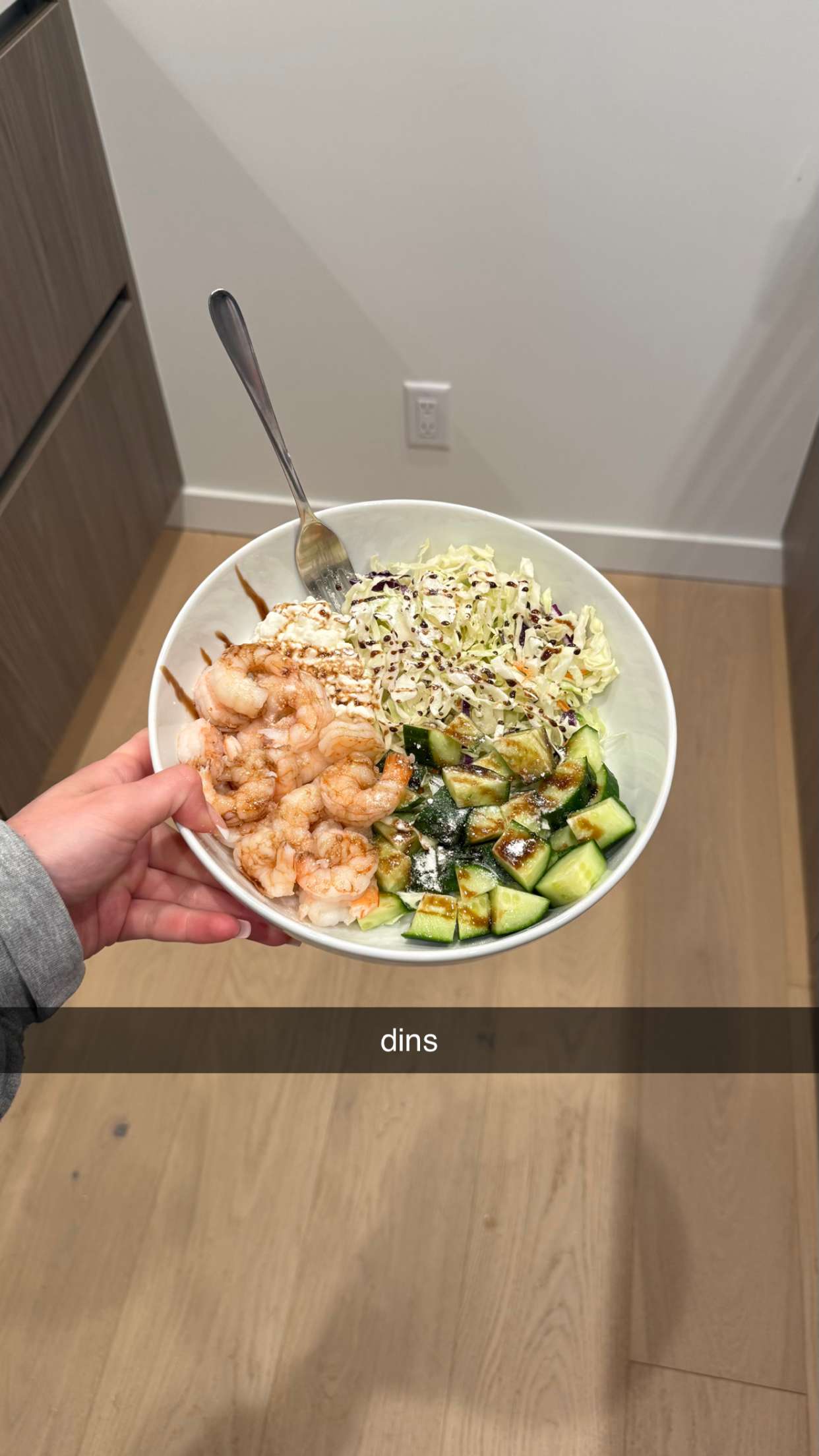 meelahrobbins snapchat image archive image