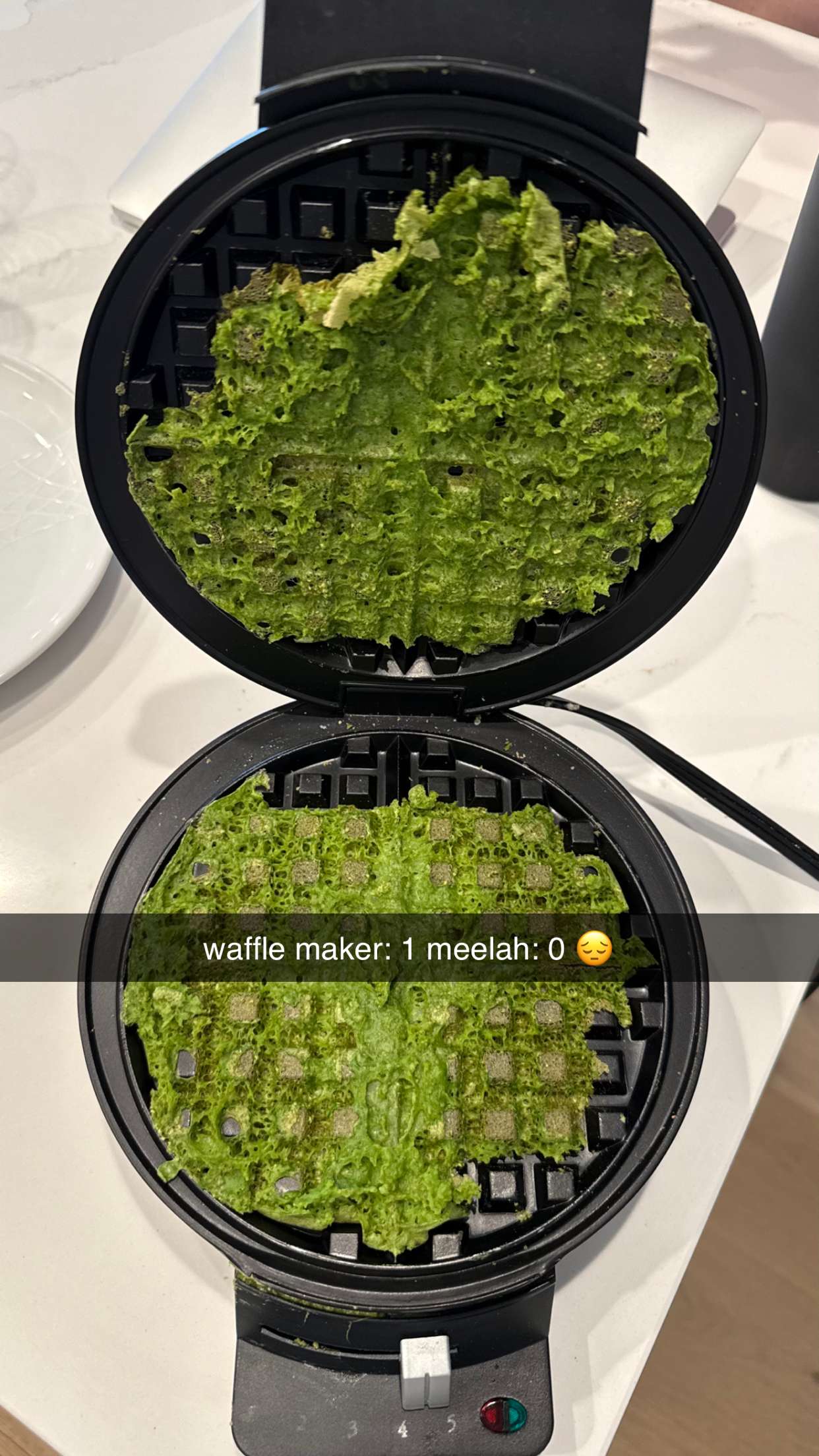 meelahrobbins snapchat image archive image