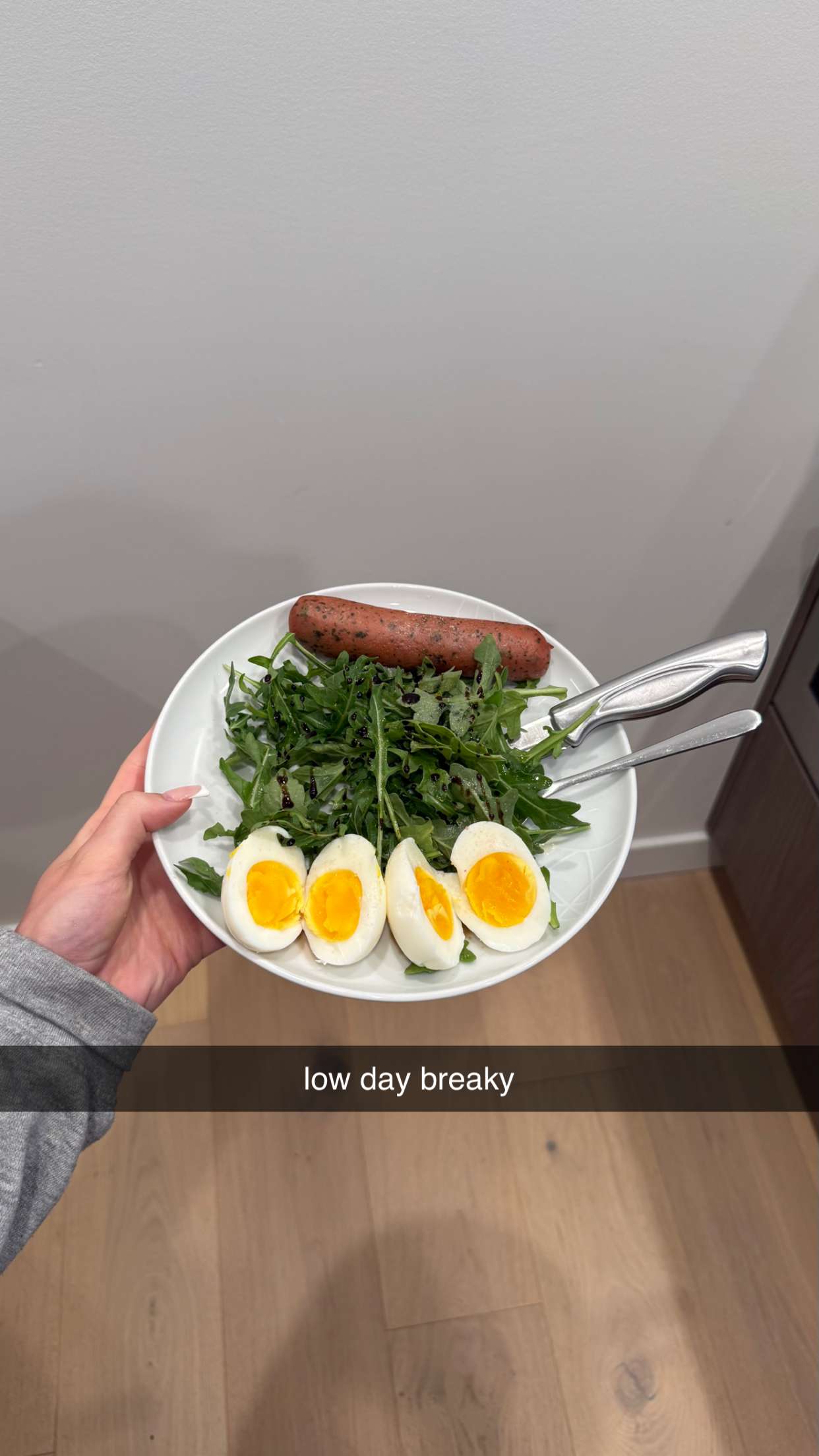 meelahrobbins snapchat image archive image