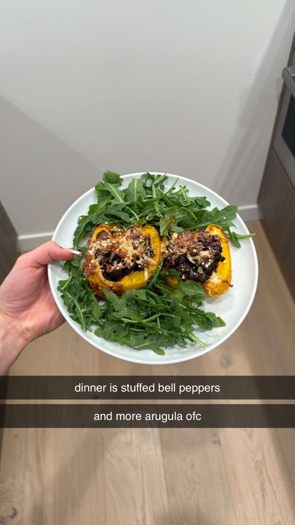 meelahrobbins snapchat image archive image