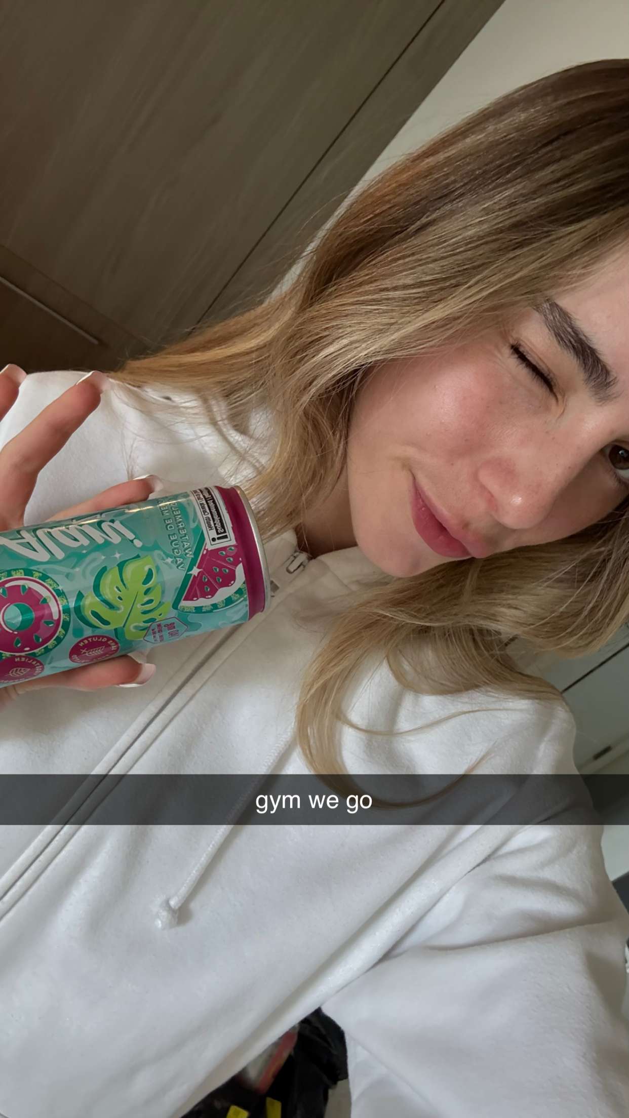 meelahrobbins snapchat image archive image