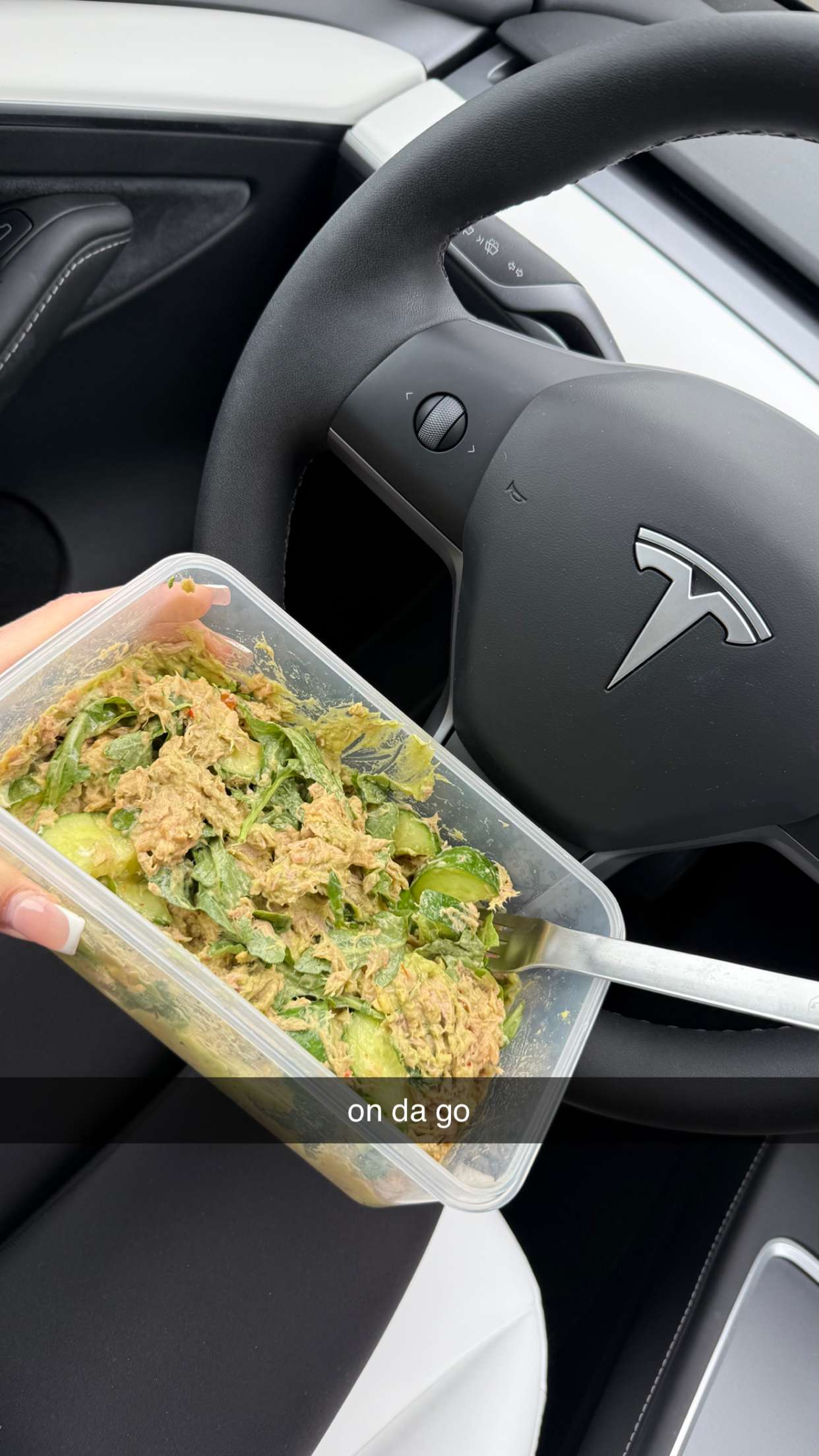 meelahrobbins snapchat image archive image