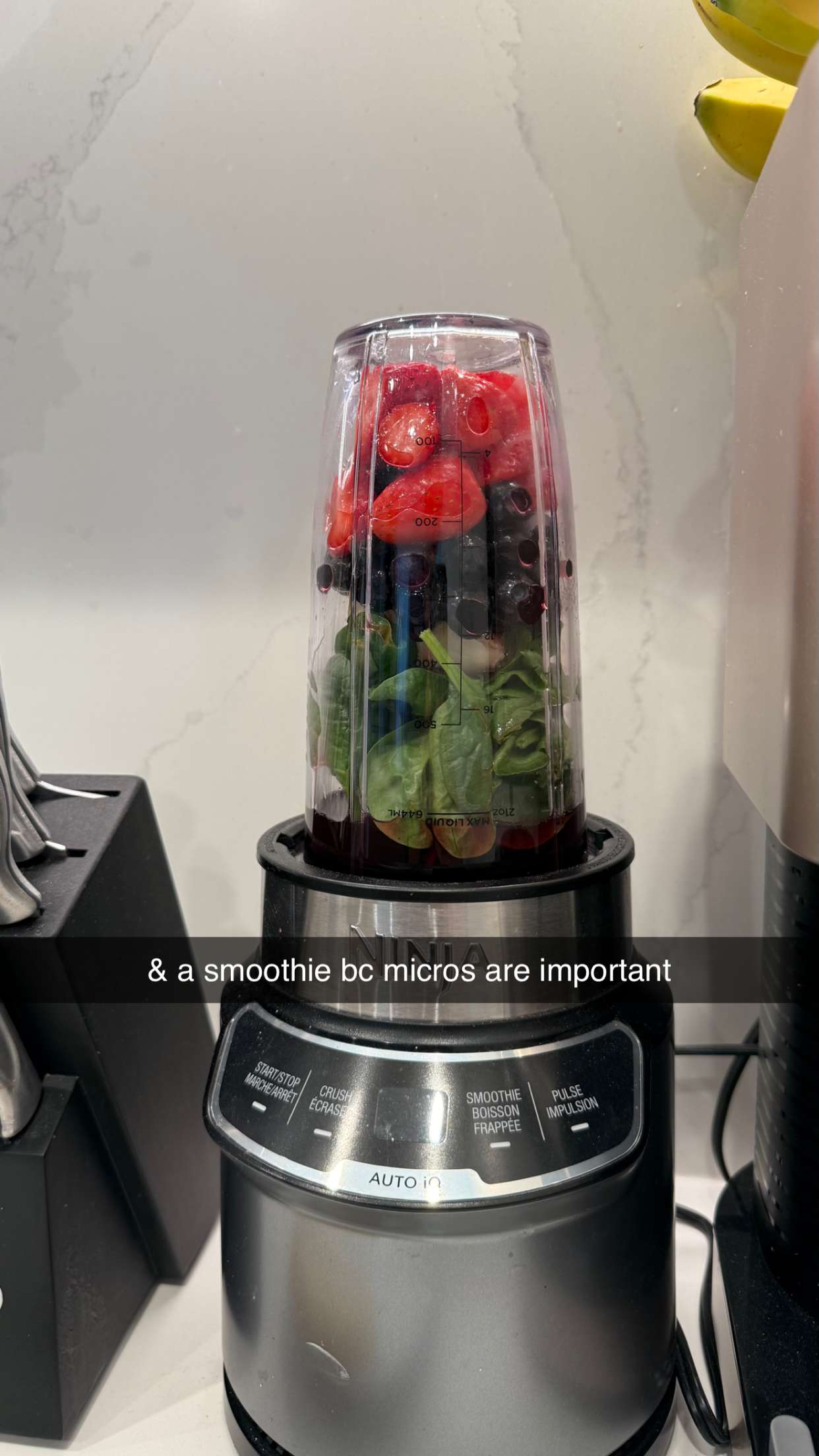 meelahrobbins snapchat image archive image