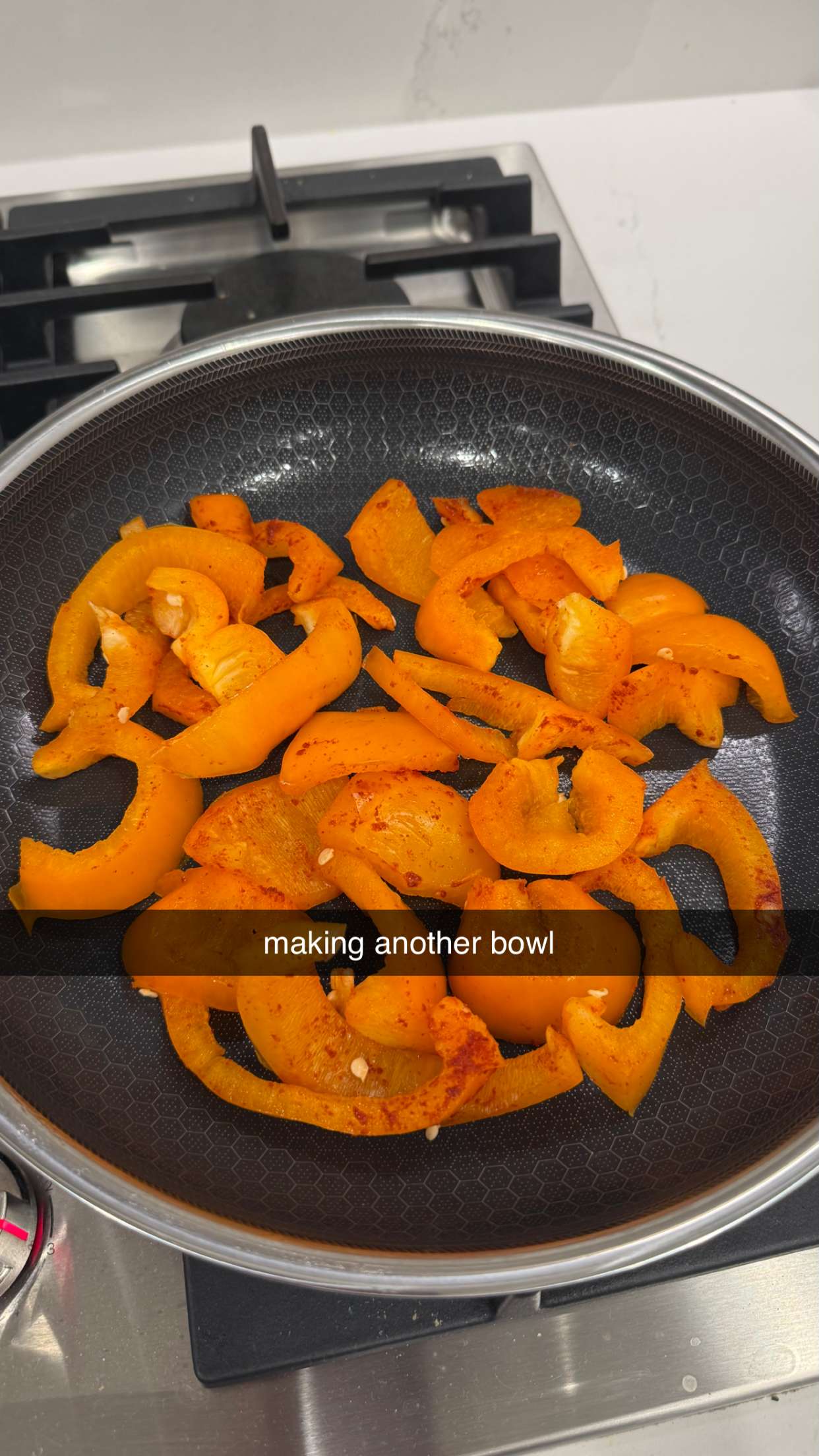 meelahrobbins snapchat image archive image