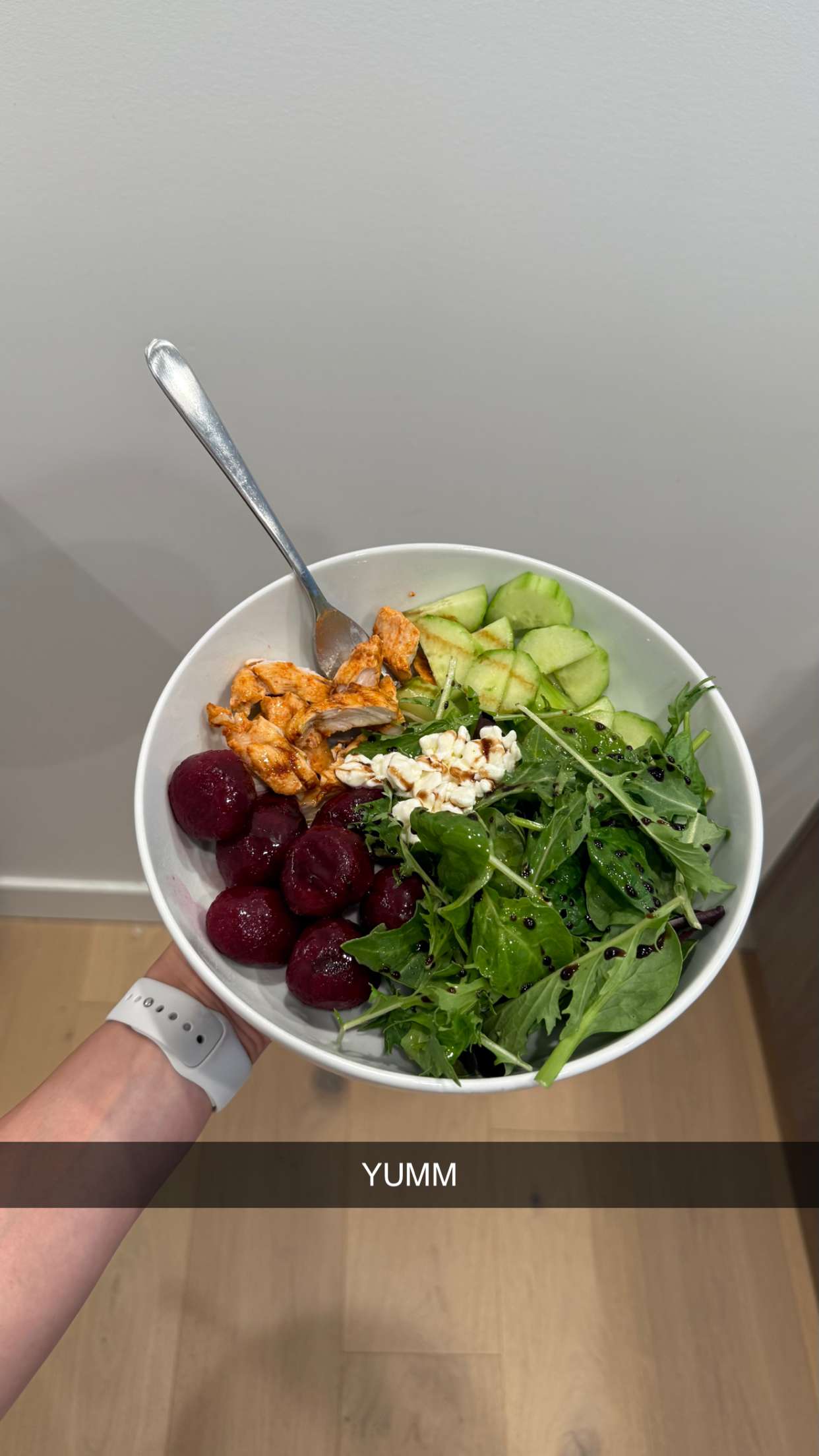 meelahrobbins snapchat image archive image