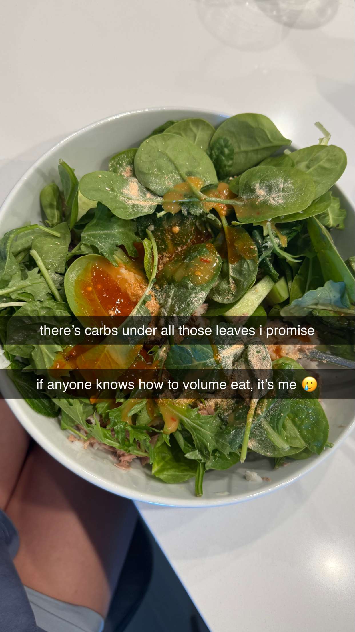 meelahrobbins snapchat image archive image