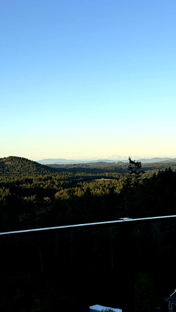 meelahrobbins image ~ Altpins