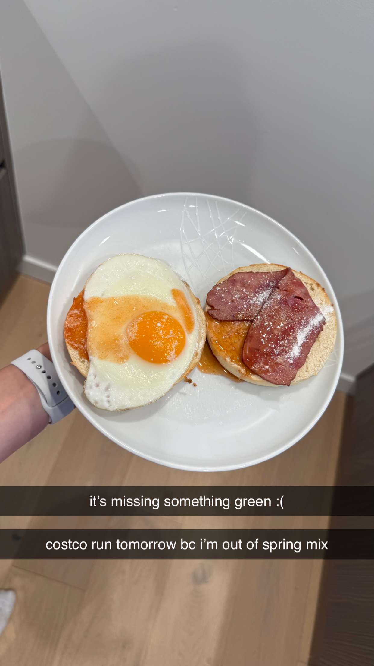 meelahrobbins snapchat image archive image