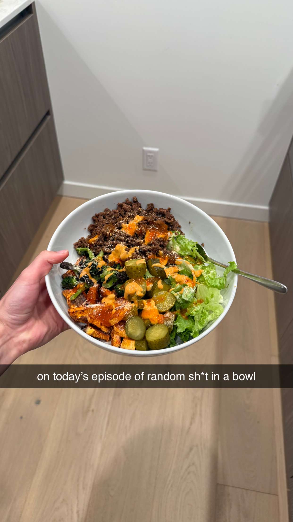 meelahrobbins snapchat image archive image