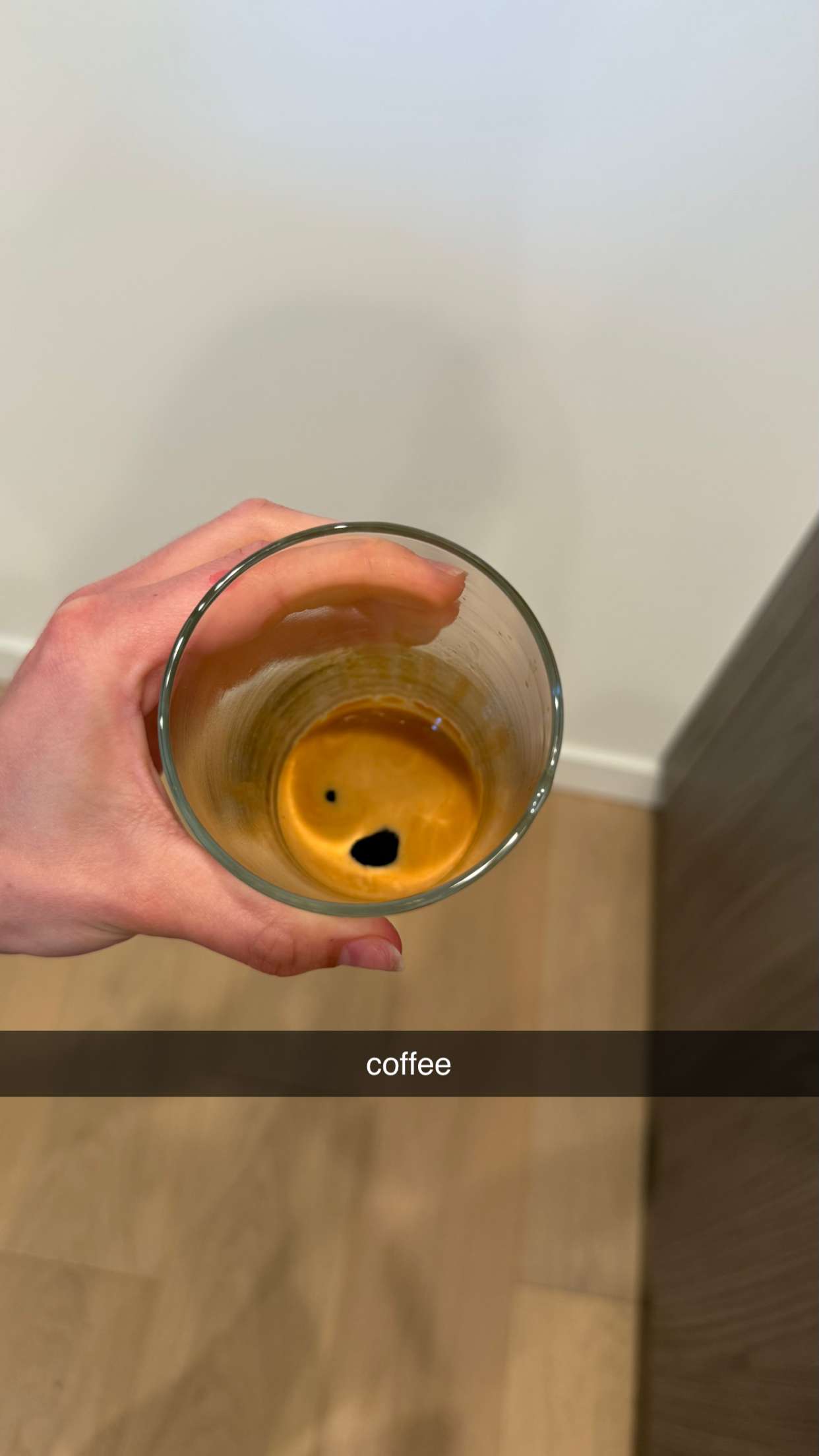 meelahrobbins snapchat image archive image