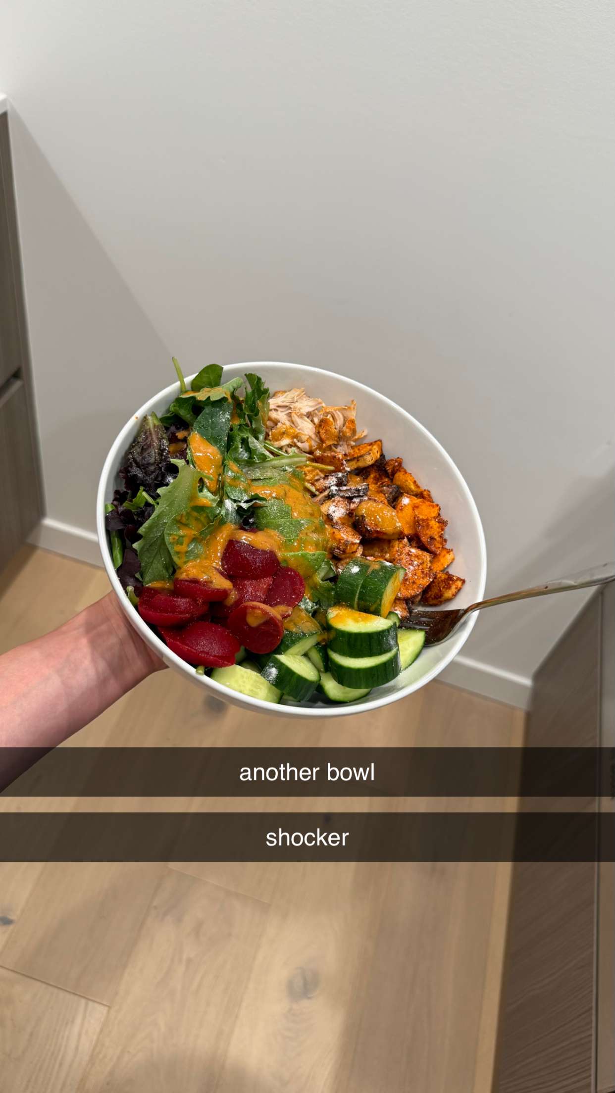 meelahrobbins snapchat image archive image