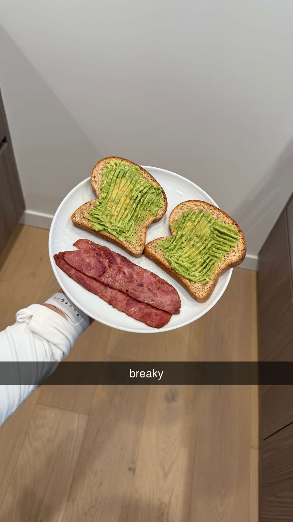 meelahrobbins snapchat image archive image