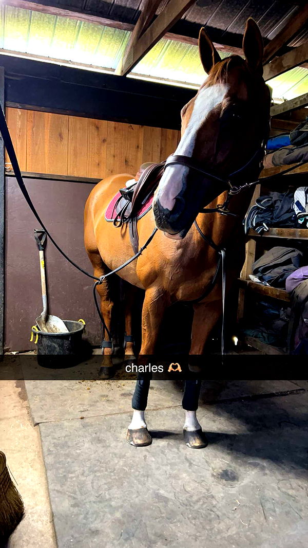 meelahrobbins image ~ Altpins