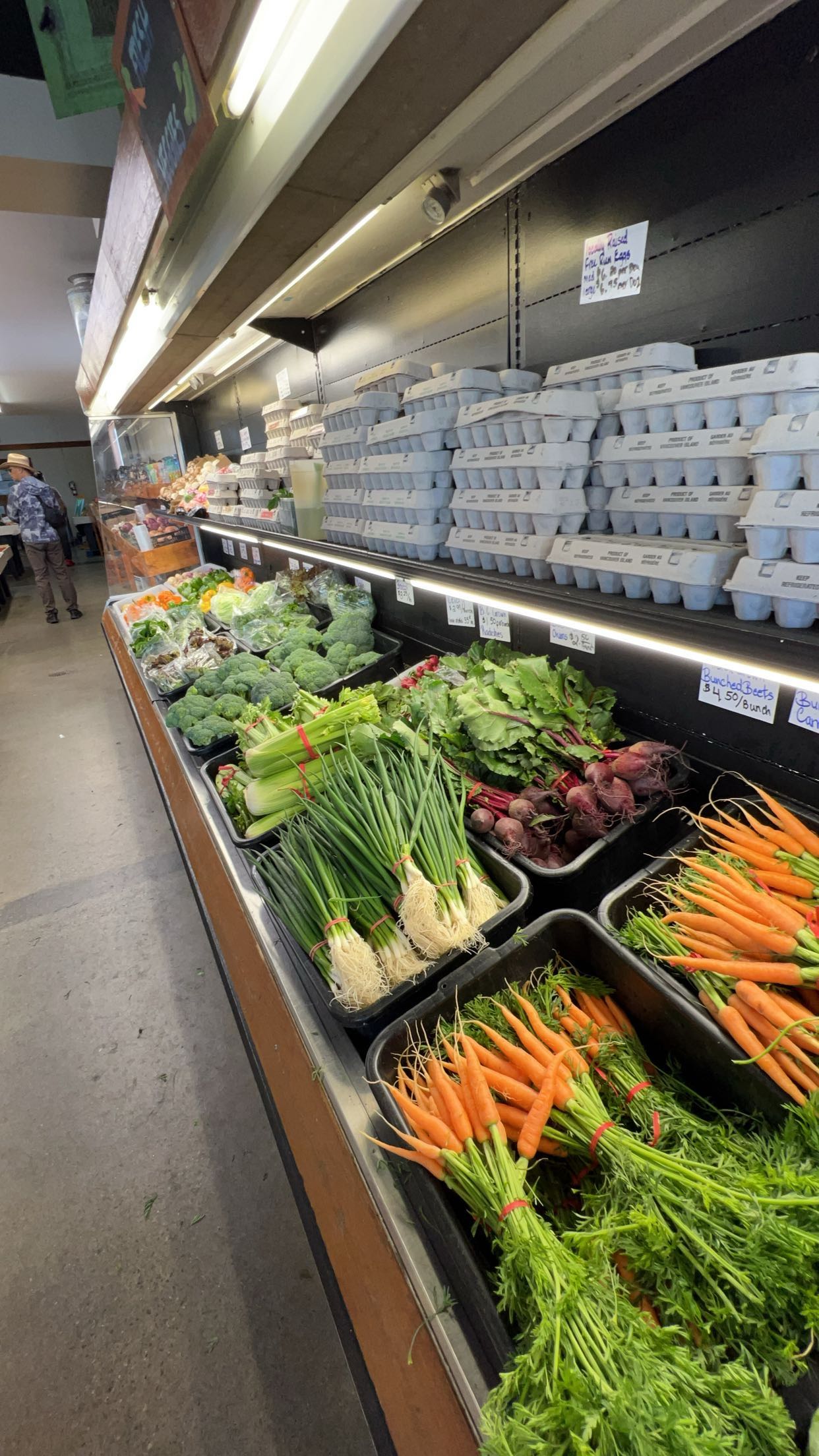 meelahrobbins snapchat image archive image