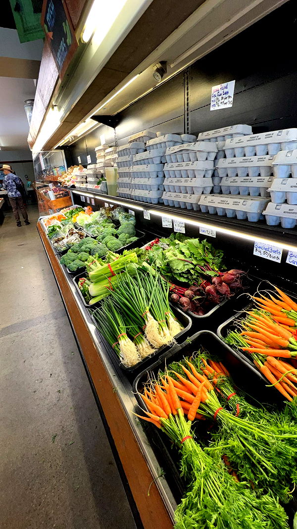 meelahrobbins image ~ Altpins